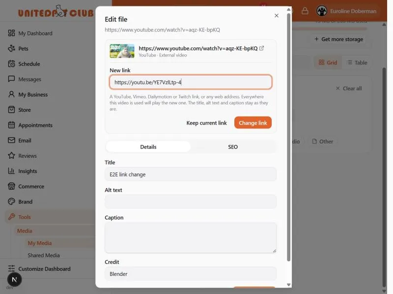The Edit file window for a YouTube video link: the current link with its cover, and the New link box holding https://youtu.be/YE7VzlLtp-4 with the Keep current link and Change link buttons