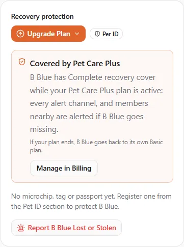 The Recovery protection panel of a covered pet: Covered by Pet Care Plus, what the cover includes, and that the pet goes back to its own Basic plan if your plan ends