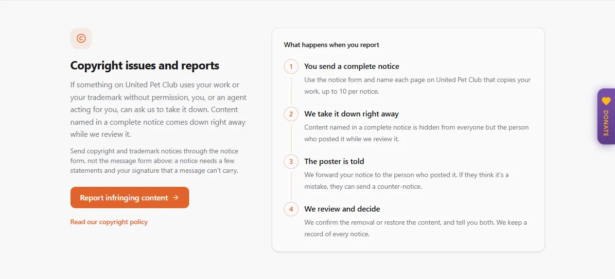 The Copyright issues and reports section of the Contact page, with the Report infringing content button and Read our copyright policy next to the four steps