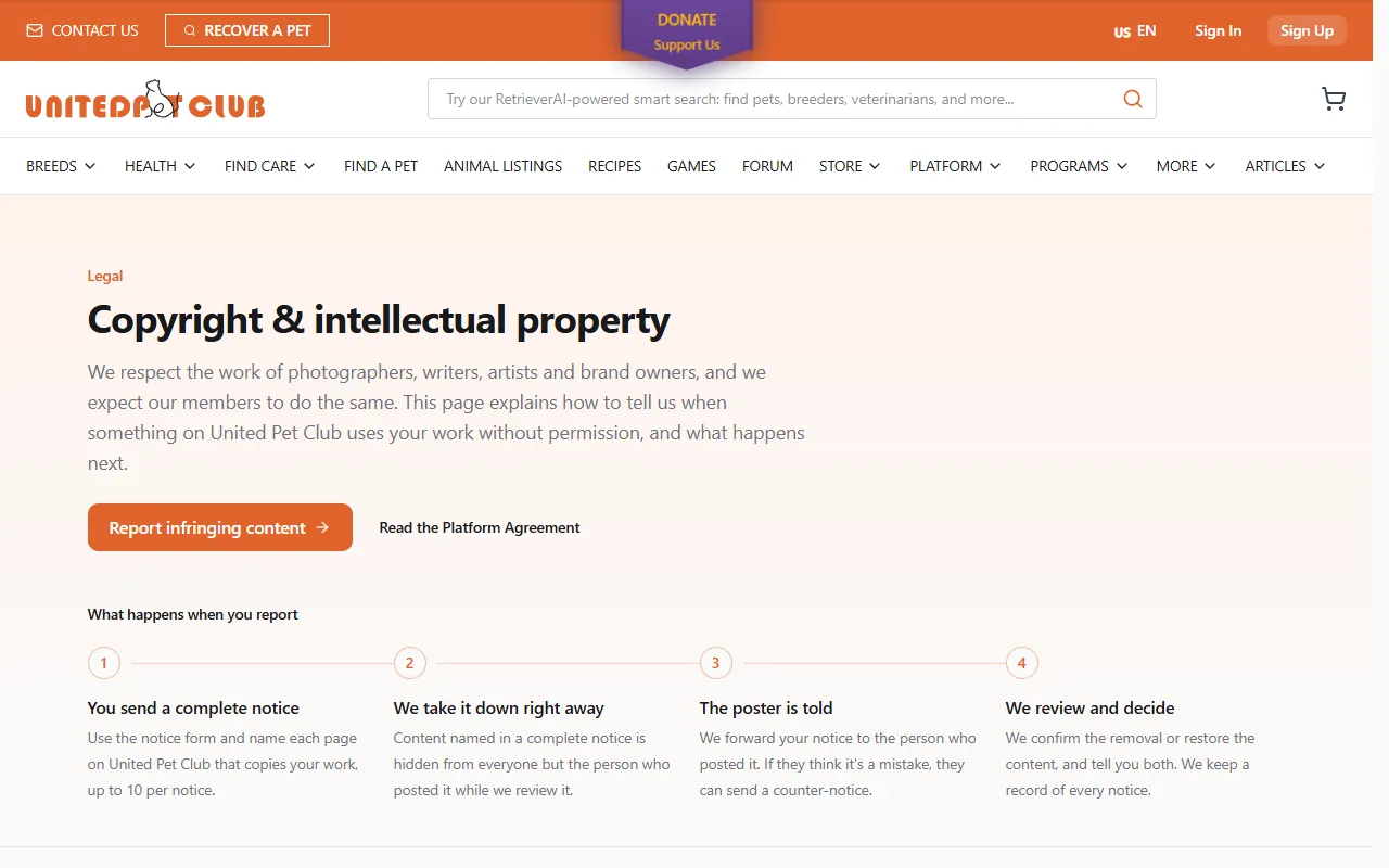 The Copyright & intellectual property page: the introduction, the Report infringing content button, Read the Platform Agreement, and the four steps of what happens when you report