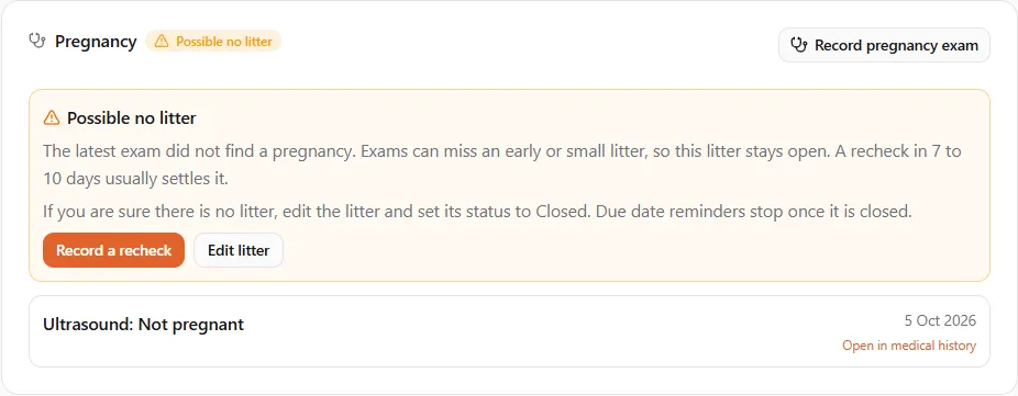 The Pregnancy card of an expected litter after a negative ultrasound: "Possible no litter", the explanation that exams can miss an early or small litter and that a recheck in 7 to 10 days usually settles it, and the Record a recheck and Edit litter buttons